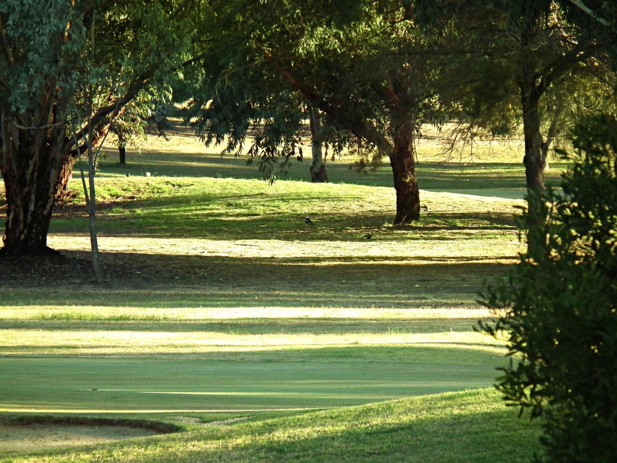 Cobram Barooga Golf Resort الغرفة الصورة